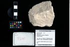 Foto (Objekt + Etikett) von Pithonoton sp.  (NHMW-GEO-2014-0194-0285)